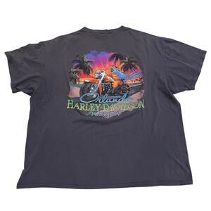 Harley-Davidson Orlando Florida Graphic T-Shirt, XL | Gray Biker Tee